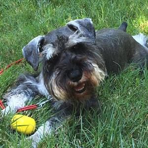 Meet your Posher, Debbie